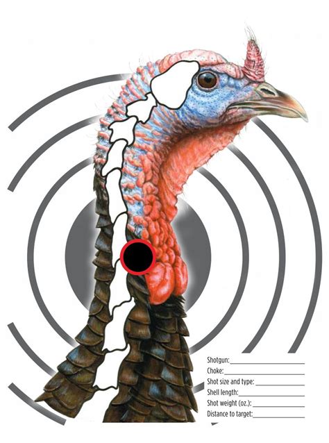 Free Printable Turkey Head Targets